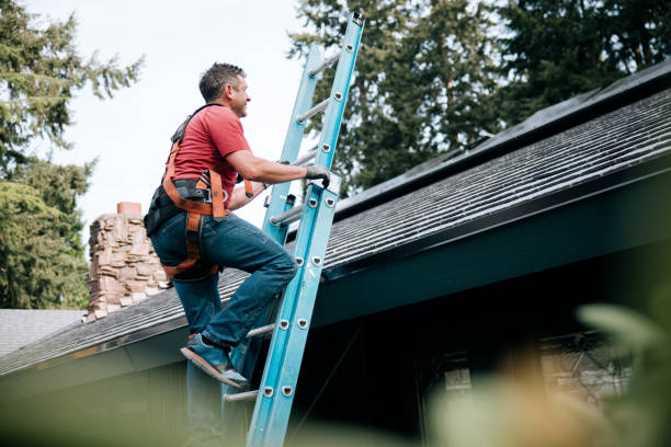 Best Roof Maintenance and Cleaning  in Bridgeview, IL