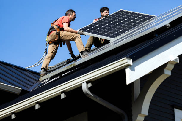 Best Skylight Installation and Repair  in Bridgeview, IL