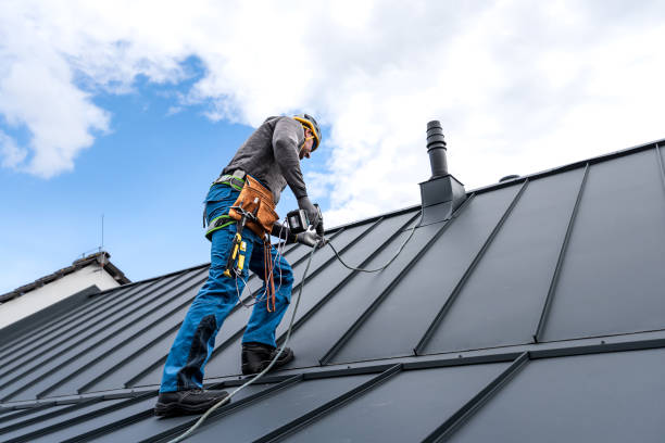 Best Rubber Roofing (EPDM, TPO)  in Bridgeview, IL