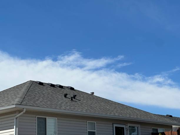 Best Storm Damage Roof Repair  in Bridgeview, IL
